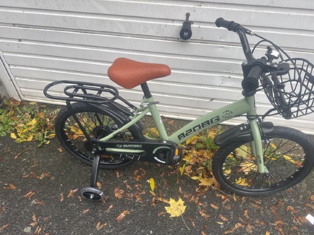 B20DG