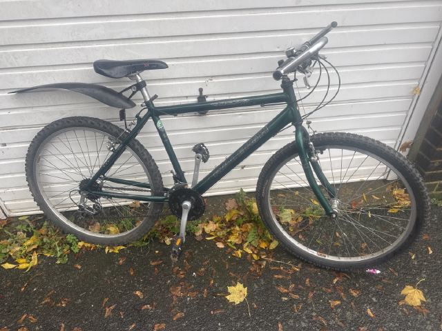 Raleigh Max